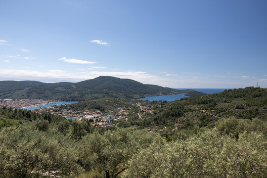 Wide panoramic view of Vela Luka bay and Adriatic coast framed by olive trees, Korcula Island, Croatia