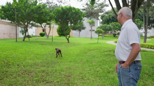 Senior man throwing flying disc for dog in park