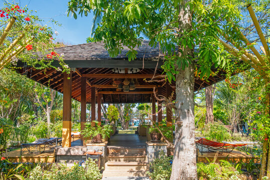 Wooden pavilion with seating and hammocks stands among tropical trees and flowering plants at resort on Koh Samui, Thailand. Outdoor hotel lounge, island vacation, tropical hospitality, relaxation