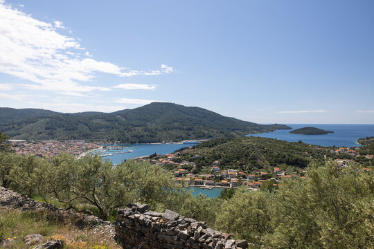Wide panoramic view of Vela Luka bay, town, and Adriatic sea framed by dry stone wall and olive trees, Korcula Island, Croatia