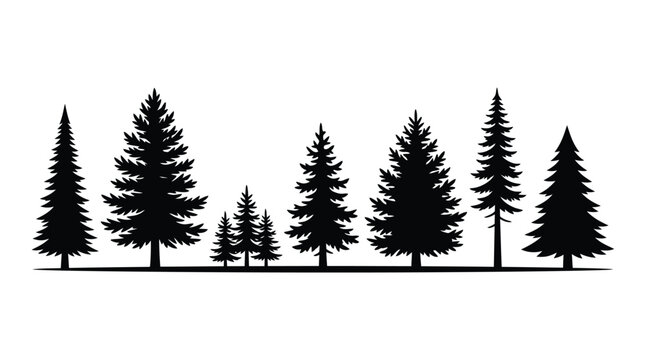 Christmas Minimalist black and white forest scene with tall pine trees for nature-themed greeting cards or vector