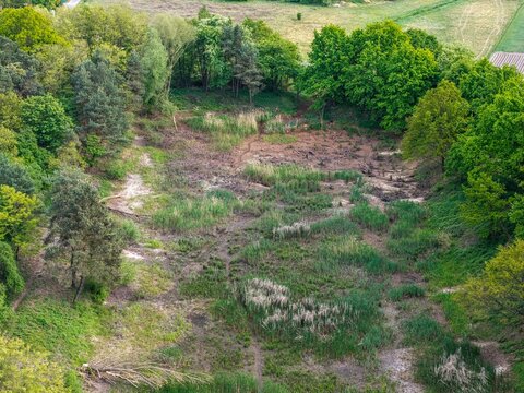 Wyschnięty zbiornik wodny z lotu ptaka &ndash; skutki klęski suszy i zmian klimatu. Brak wody, degradacja środowiska oraz zagrożona trzcina pospolita (Phragmites australis).