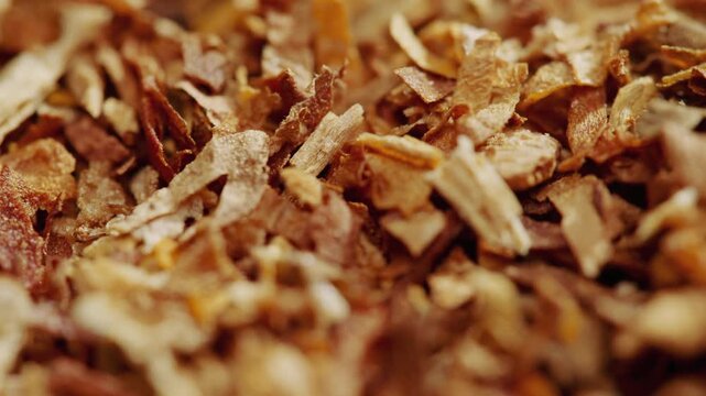 Dry tobacco texture macro, Cigar and bunch of smoking dry tobacco leaves isolated on white, rotating of cigarette leaves.