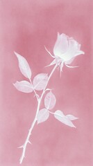 Fototapeta premium Elegant pink rose on soft background, perfect for mobile wallpaper.