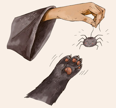 Illustration of Cat Paw Playing with Toy Spider