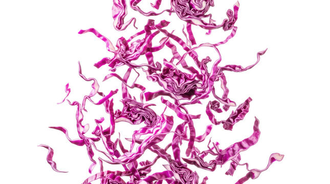 Red cabbage leaves arranged isolated on  PNG transparent background