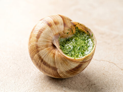 Cooked escargot shell stuffed with rich garlic parsley butter close-up