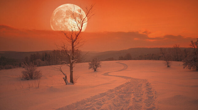Vast snowy field under a deep orange and red twilight sky, massive full moon with craters above the horizon, bare tree dusted with snow, footpaths and tire tracks, serene winter scene.