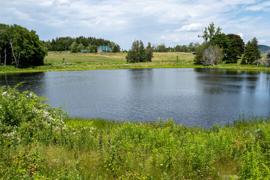 McLaren Pond on the Mi'kmaw Medicine Trail showcasing native medicinal plants in Fundy National Park near Alma, New Brunswick, Canada, July 2026.