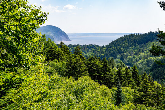 Elevated view looking over Acadian forest toward Bay of Fundy from Route 114 lookout in Fundy National Park near Alma, New Brunswick, Canada, July 2026.