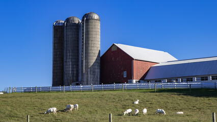 barn and silo © Jason