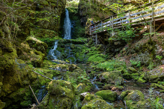 Waterfall cascading down mossy rocks beside a wooden boardwalk trail in Fundy National Park near Alma, New Brunswick, Canada, July 2026.