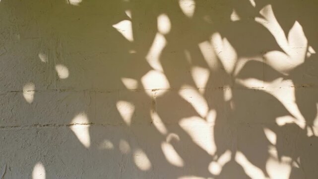 Sunlight filtered through leaves creates organic patterns of dappled light and soft shadows on a textured wall surface.