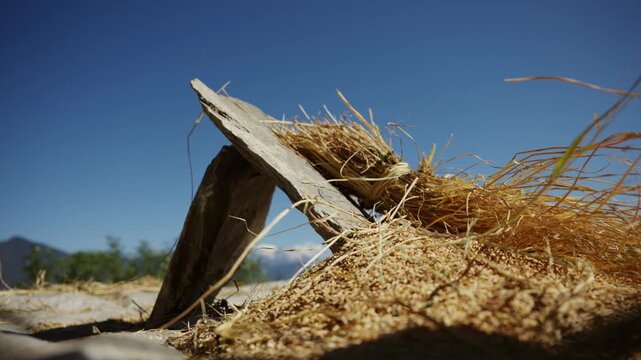 Dust and straw particles flying in sunlight beside leaning slate threshing stone and golden grain heap, dynamic ground level harvest action against blue mountain skyline