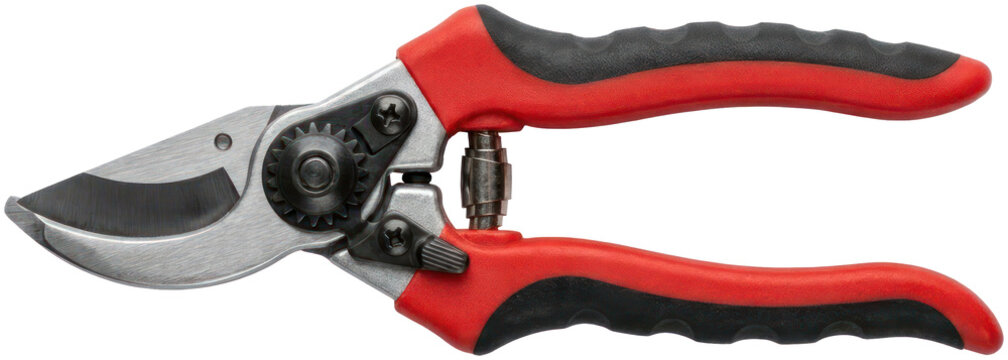 Red garden pruning shears for plants.