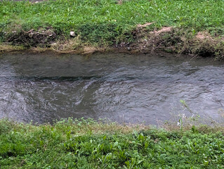 Rippling stream water flows between grassy banks covered in lush green vegetation © NizuCaCi