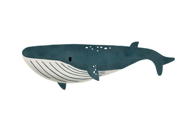 whale fish watercolor © Livia