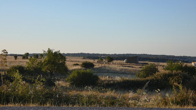 Golden evening light over dehesa scrubland on the Spanish border