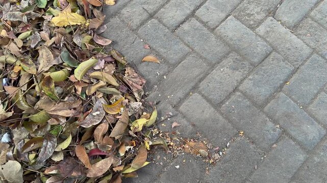 Dry fallen autumn leaf pile, paving block background copy space, environmental concept, 4K horizontal video