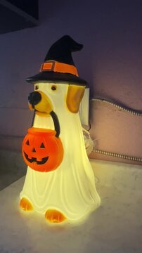 Dog Wearing a Spooky Ghost Witch Costume Beside a Glowing Halloween Pumpkin Blow Mold
