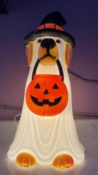 Adorable Dog Dressed as a Ghost Witch Holding a Glowing Halloween Pumpkin Blow Mold Decoration