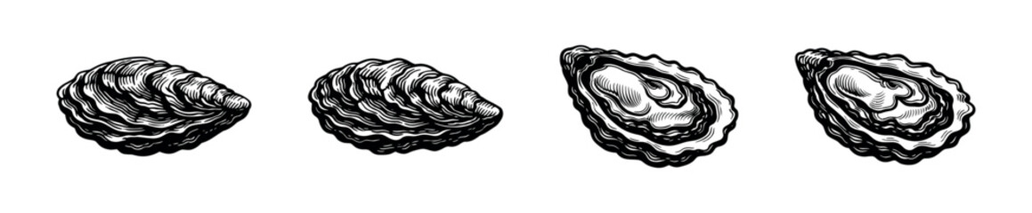 Hand Drawn Oyster Shell Illustrations © UnIcons
