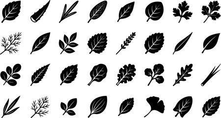 Fototapeta premium A collection of various hand drawn leaf icons featuring diverse botanical shapes and foliage styles isolated on a clean white background