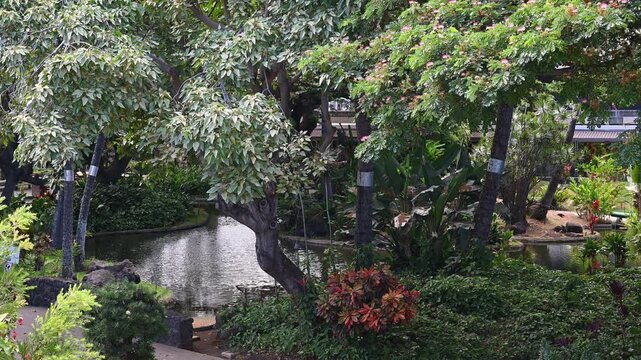 緑豊かなホノルル空港の庭園と枝を大きく広げる南国の巨木（ダニエル・K・イノウエ国際空港）