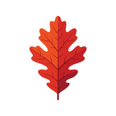 Fototapeta premium Autumn Oak Leaf Vector Icon with Red and Orange Gradient Isolated on White Background