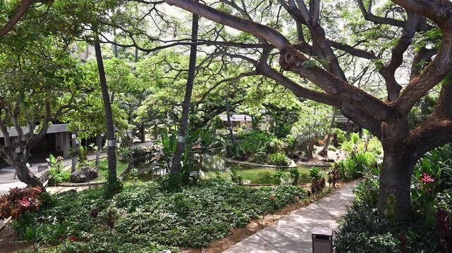 緑豊かなホノルル空港の庭園と枝を大きく広げる南国の巨木（ダニエル・K・イノウエ国際空港）