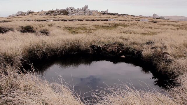 Close Up Shot of Water Filled Bomb Crater on Grassy Falklands Battlefield (Malvinas) - 4K