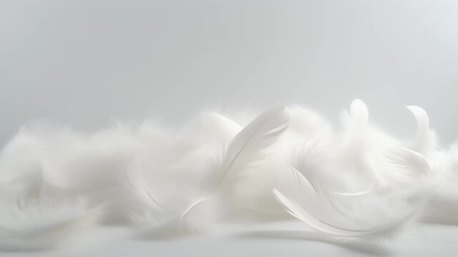Soft white feathers gently floating and drifting down against a clean bright studio background 4K Generative AI