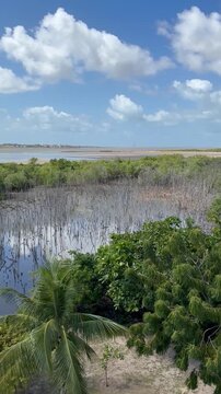 Aracaju, Sergipe, Brasil - 29 de agosto de 2026: Filmagem da paisagem tropical com manguezal, &aacute;guas costeiras e pr&eacute;dios da cidade vistos do Mirante da 13 de Julho