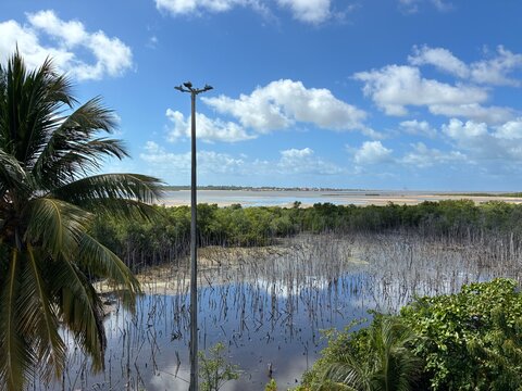 Aracaju, Sergipe, Brasil - 29 de agosto de 2026: Vista panor&acirc;mica do manguezal entre a cidade e o mar a partir do Mirante da 13 de Julho