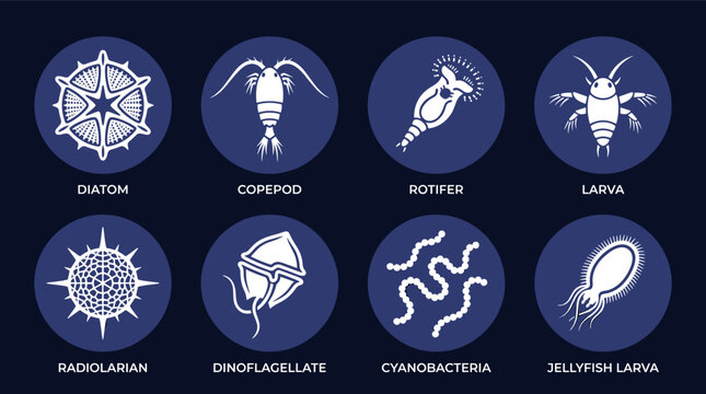 Marine plankton and microscopic ocean microorganism biological science vector round icon set
