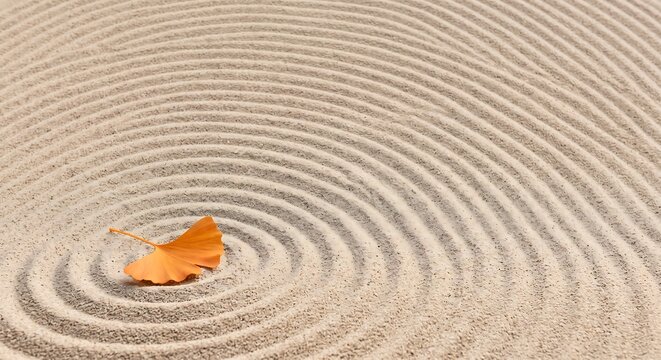 Zen Sand Pattern with Solitary Autumn Maple Leaf Border