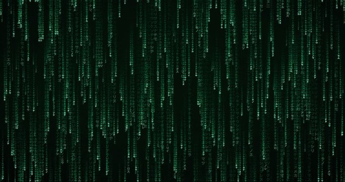Japanese katakana characters cascade in a dense, phosphor green code storm animation with deep tunnel parallax.