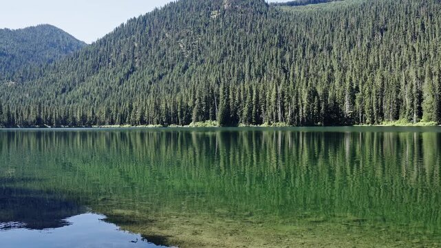 Lake with green landscape. Landscape of idyllic forest at lake, slow motion. Nature landscape. Lake in scenic nature. Scenic nature travel. Evergreen forest. Wilderness and adventure at forest