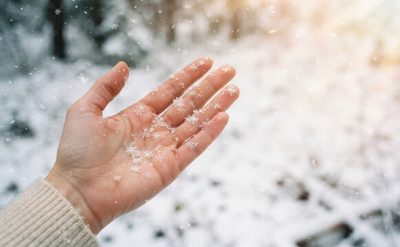 Woman holding delicate snowflakes in her open hand during winter snowfall representing magic and cold weather concepts