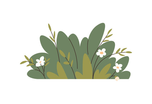Green garden bush with small white flowers vector illustration. Gardening, landscaping, nature design, spring season, outdoor environment, botanical decoration. Verdant shrub with floral blooms