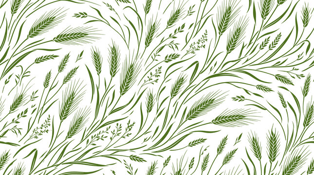 Green wheat ears seamless pattern, botanical cereal grain illustration on white background, organic agricultural texture for textile and wallpaper