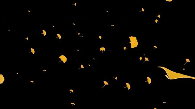 Dense ginkgo leaves flying toward camera, low angle, alpha channel, 4K
