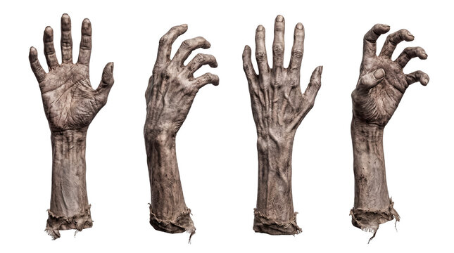 Creepy zombie hands with decaying skin and long fingernails displayed