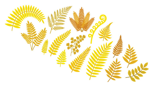 A collection of stylized golden and yellow fern leaves, fronds, and fiddleheads vector graphics on a white background.