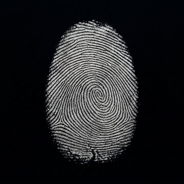 Close up of a detailed white fingerprint pattern on a dark black background abstract identity concept