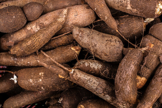 Top view of raw, unpeeled cassava roots stacked together, showcasing their natural brown texture and rustic appearance at a traditional Brazilian marketplace.
