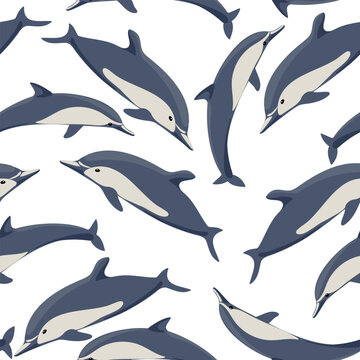 vector drawing seamless pattern with dolphins, ocean fishes at white background, hand drawn illustration