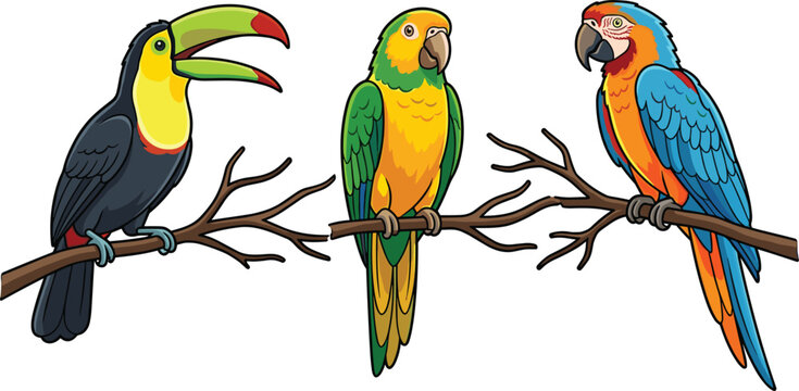 Tropical jungle bird vector illustration set featuring exotic toucan green parrot and colorful blue macaw sitting on tree branches
