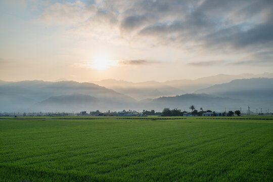 Morning sunlight shines through misty clouds above a lush green rice field with distant foggy mountains in Yuli, Taiwan.