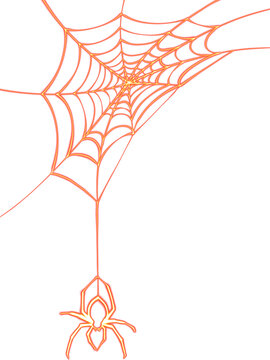 Neon glowing red spider web with hanging spider illustration on black background